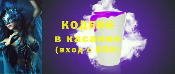 хмурый Белокуриха