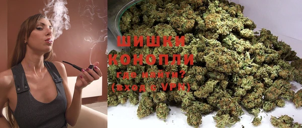 хмурый Белокуриха
