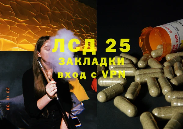 хмурый Белокуриха