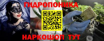дживик Берёзовский