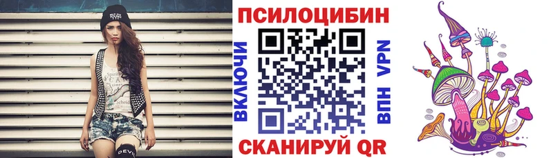 как найти закладки  Гатчина  Галлюциногенные грибы Magic Shrooms 