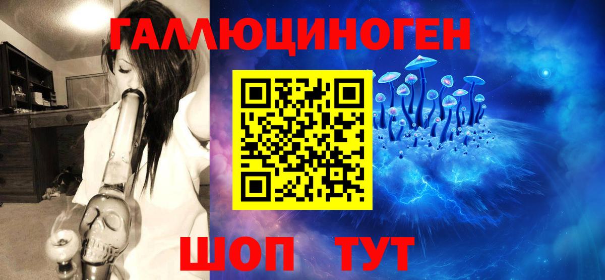 Гатчина  где можно купить наркотик  Вход с VPN  Галлюциногенные грибы Psilocybine cubensis 