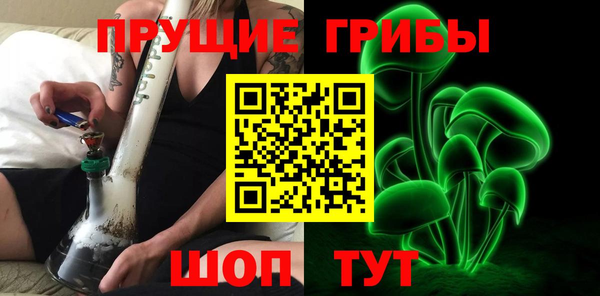 Галлюциногенные грибы GOLDEN TEACHER  Гатчина  Галлюциногенные грибы Psilocybe 