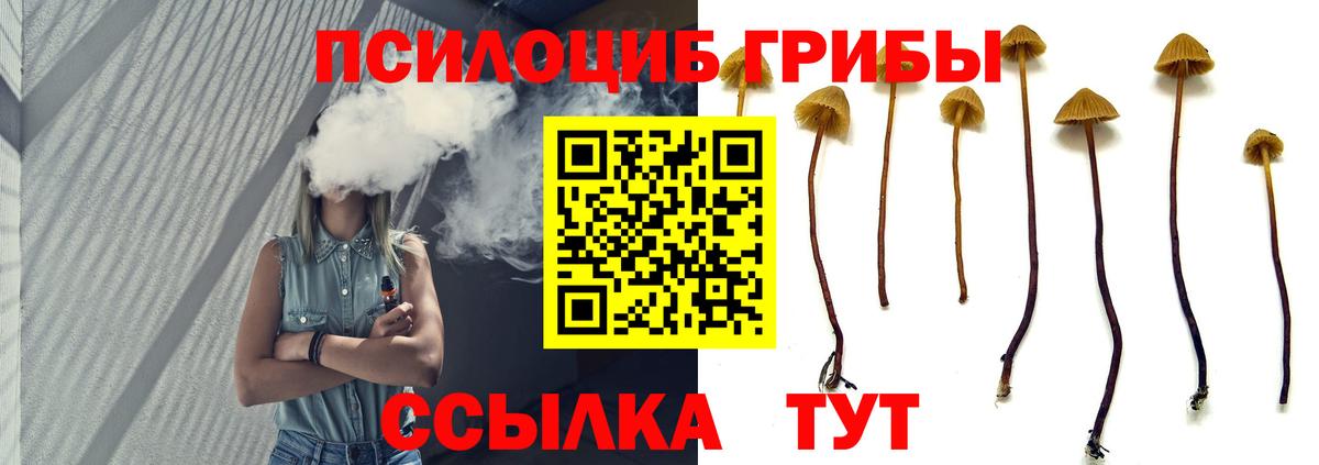 Псилоцибиновые грибы GOLDEN TEACHER Гатчина