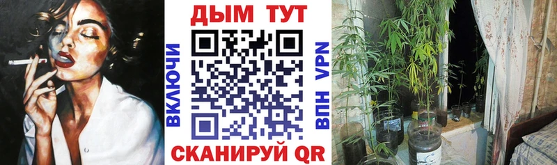 Каннабис SATIVA & INDICA  Гатчина 